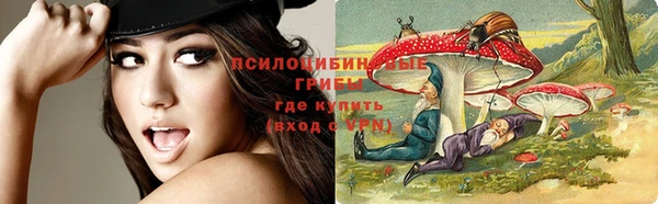 хмурый Майский