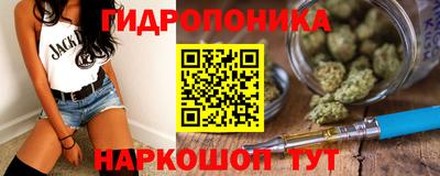 гидропоника Дубна