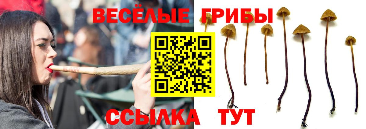 Нефтеюганск  Галлюциногенные грибы Magic Shrooms  где можно купить наркотик  Вход с VPN  Псилоцибиновые грибы мухоморы 